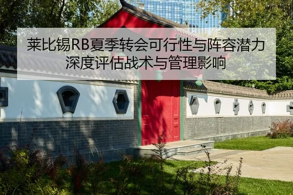 莱比锡RB夏季转会可行性与阵容潜力深度评估战术与管理影响