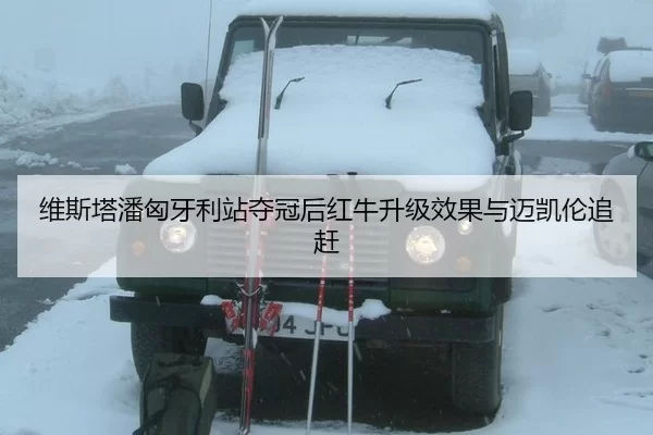 维斯塔潘匈牙利站夺冠后红牛升级效果与迈凯伦追赶